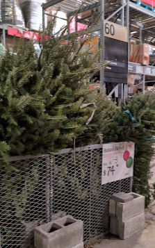 Image inside Home Depot Rialto, CA location.