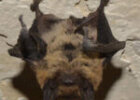 Image for this Blog