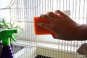 Bird Cage Cleaning 