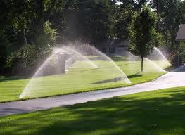 Sprinklers 