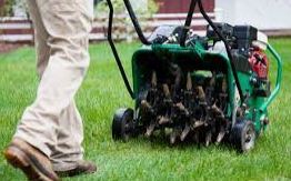 Aerate Lawn