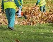 Leaf Removal - Up to 1/2 Acre.