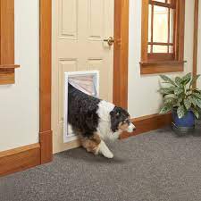 Install Pet Door