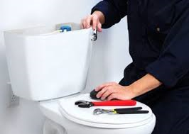 Toilet Repair